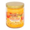 Smoke Odor Exterminator | Candles 13oz | - Orange Lemon Splash