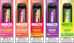 Box of 10 - Breeze Smoke Disposable - 6ML - Image 2
