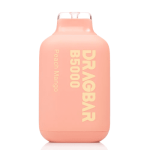 Dragbar | B5000 | 13ml - 5%  [ Box of 5 ] - Image 5