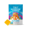 Cutleaf | Mushroom Gummies 1000mg | 8 Pack - Dragon fruit Flavor, [ Single ]
