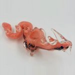 Dragon Glass - Pill Hand Pipe - Image 2