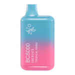 EB Create | BC5000 Disposable Vapes [ Box of 10 ] - Image 12
