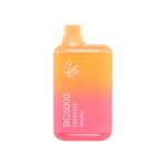EB Create | BC5000 Disposable Vapes [ Box of 10 ] - Image 26