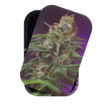 Eye Candy | 3D Rolling Tray - Image 4