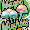 Hixotic | Magic Mushies | Mushroom Chocolate Bar - Salted Pretzel, [ Single ]