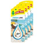 Little Tree | Fresh Link [ Box of 4 ] - Image 4