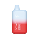 EB Create | BC5000 Disposable Vapes [ Box of 10 ] - Image 20