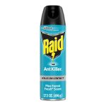 Raid | Ant Killer Spray 17.5oz - Image 2