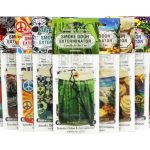 Smoke Odor Exterminator | Car Hangers |