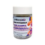 Spores MD - Amanita Pantherina Mushrooms Caps -