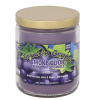 Smoke Odor Exterminator | Candles 13oz | - Groov'n Grape