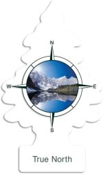 Little Trees | Car Air Freshener | 1 CT  Card - Image 7