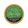 Copenhagen Value Cans - Mint Pouches