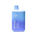 EB Create | BC5000 Disposable Vapes [ Box of 10 ] - Image 18