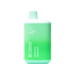 EB Create | BC5000 Disposable Vapes [ Box of 10 ] - Image 19