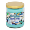 Smoke Odor Exterminator | Candles 13oz | - Sea Glass