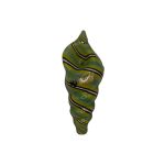 HY BIRD - Conch Glass Spoon Pipe - Image 5