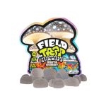 University | Field Trip | Mushroom Gummies | 10CT - Image 5