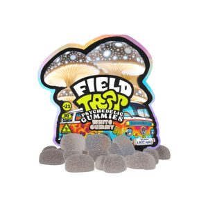 University | Field Trip | Mushroom Gummies | 10CT