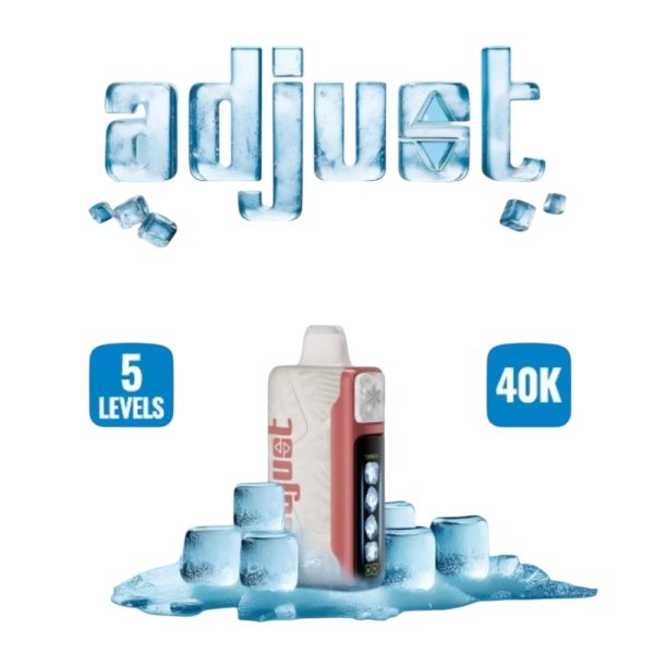 Adjust My Cool | 40000 Puffs | 20ML - 5% [Box of 5]