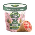 Hidden Hills Club | Amanita Trippy Blend Mushie Magic Shroomz Conez | 2CT - Image 8