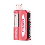 Foger | Switch Pro Kit | 30000 Puffs [Box of 5] - Image 24