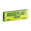 Houseplant by OCB | Pre-Rolled Cones - Bamboo, 1 1/4 (6ct), [Single]