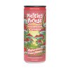 Melting Forest |Mushroom Drink | 12 fl oz - Watermelon Elderflower