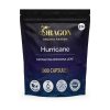 Dragon Organic Kratom | Capsules -