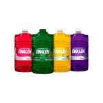 Pinalen | Multipurpose Cleaner