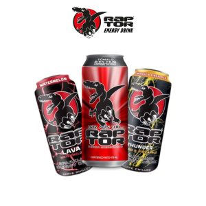 Raptor Energy