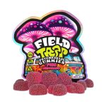 University | Field Trip | Mushroom Gummies | 10CT - Image 2