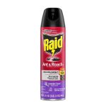 Raid | Ant Killer Spray 17.5oz - Image 5