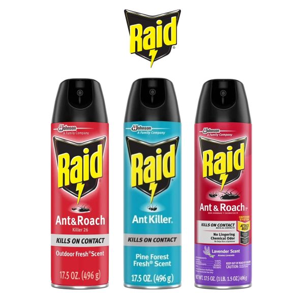 Raid | Ant Killer Spray 17.5oz - Image 1