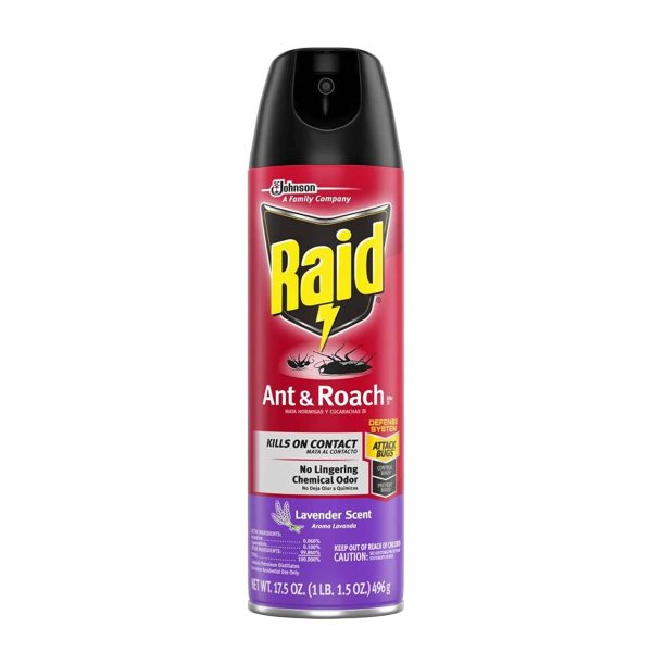 Raid | Ant Killer Spray 17.5oz - Image 5