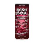 Melting Forest |Mushroom Drink | 12 fl oz - Image 5