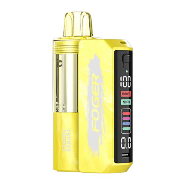 Foger | Switch Pro Kit | 30000 Puffs [Box of 5] - Image 20