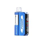 Foger | Switch Pro Kit | 30000 Puffs [Box of 5] - Image 4